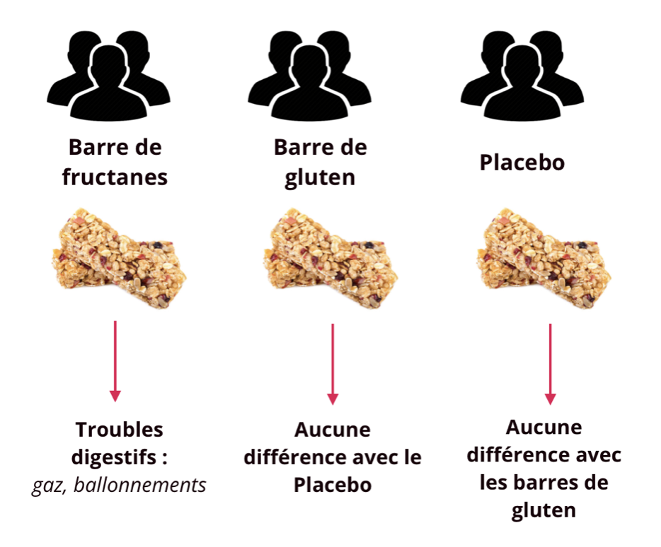 Gluten ou Fructanes : intestin irritable ventre gonflé