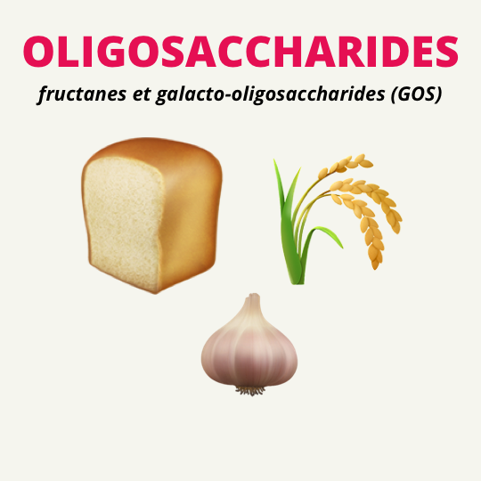 OLIGOSACCHARIDES fructanes et galacto-oligosaccharides (GOS)