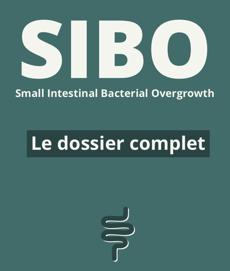 Sibo dossier complet